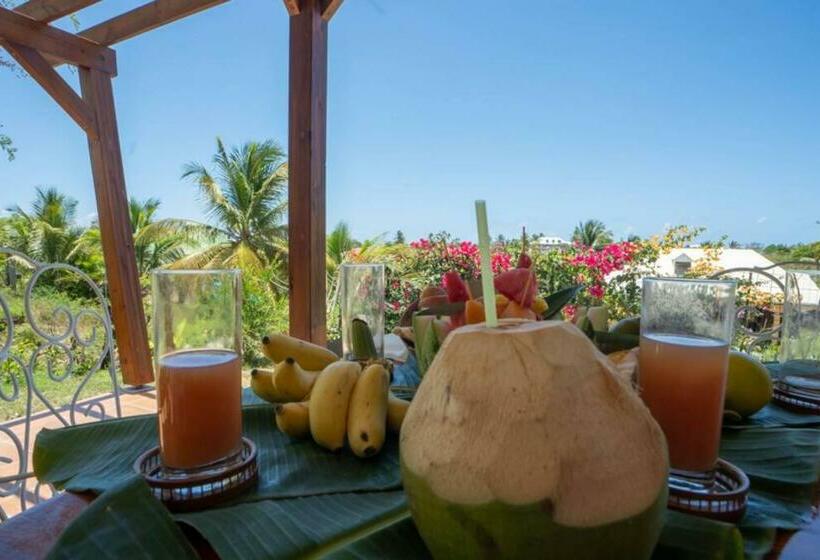 Kalypso   Les Villas Kikko