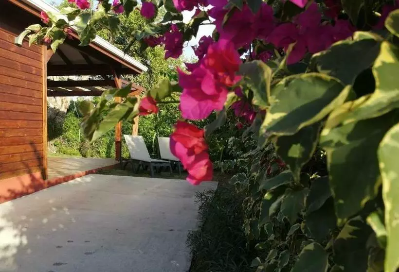 Kalypso   Les Villas Kikko