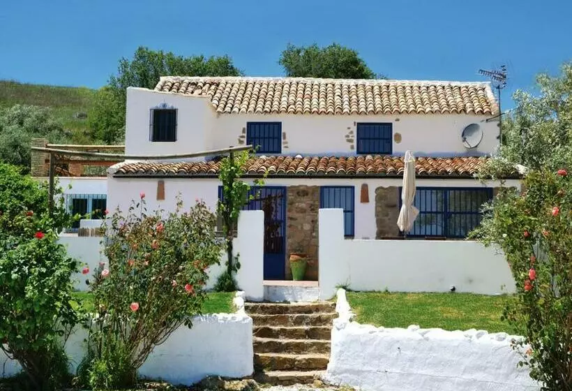 Casa 99