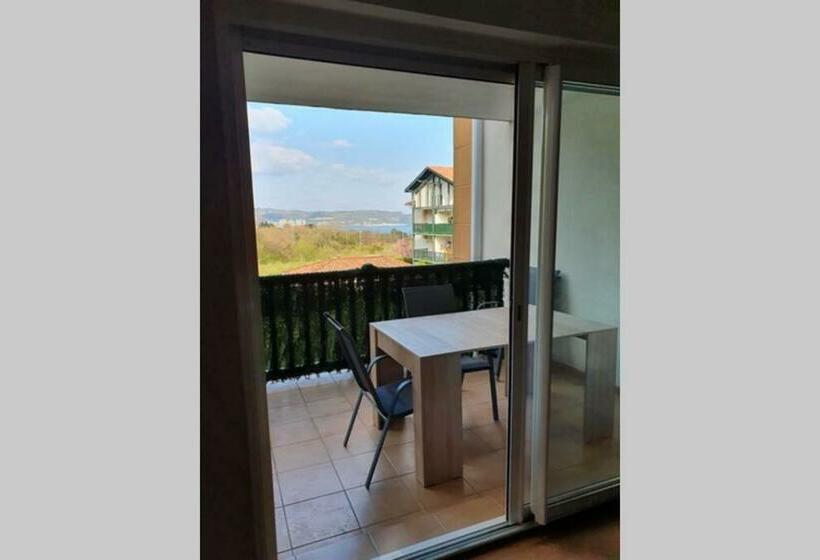 Hendaye: Joli T3, Piscine Et Parking Avec Vue Sur L Océan