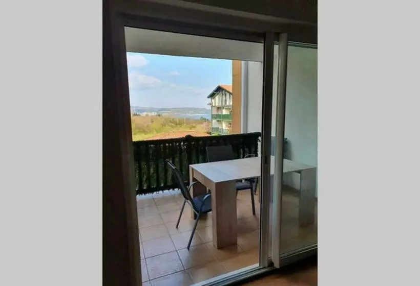 Hendaye: Joli T3, Piscine Et Parking Avec Vue Sur L Océan