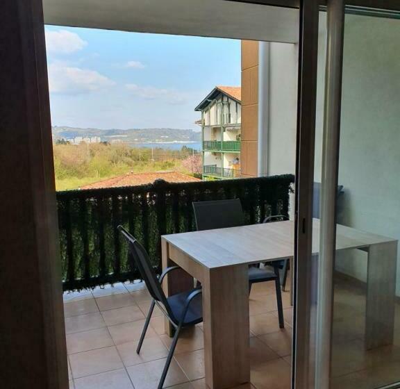 Hendaye: Joli T3, Piscine Et Parking Avec Vue Sur L Océan