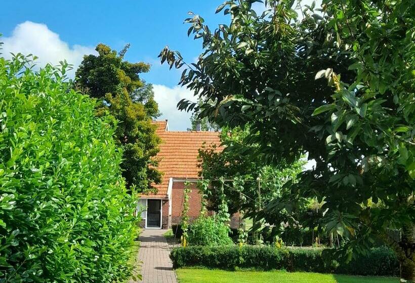 Ruime Vakantiewoning Voor 4 6 Personen