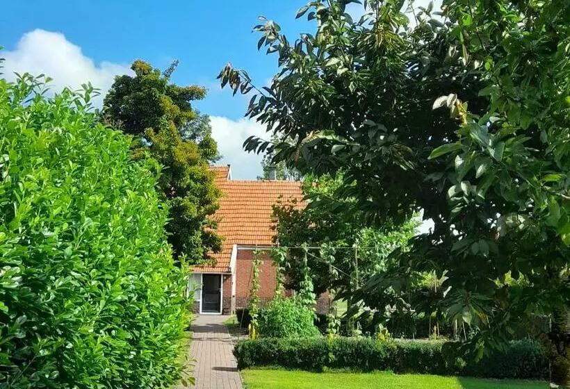 Ruime Vakantiewoning Voor 4 6 Personen