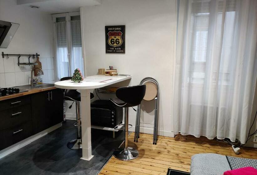 T2 Angers Jardin Des Plantes