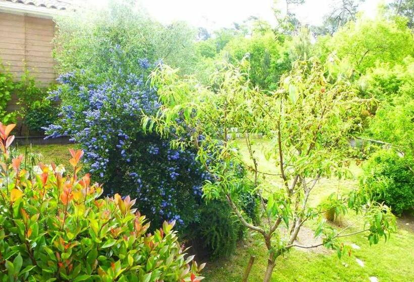 Villa Entre Lac Et Océan