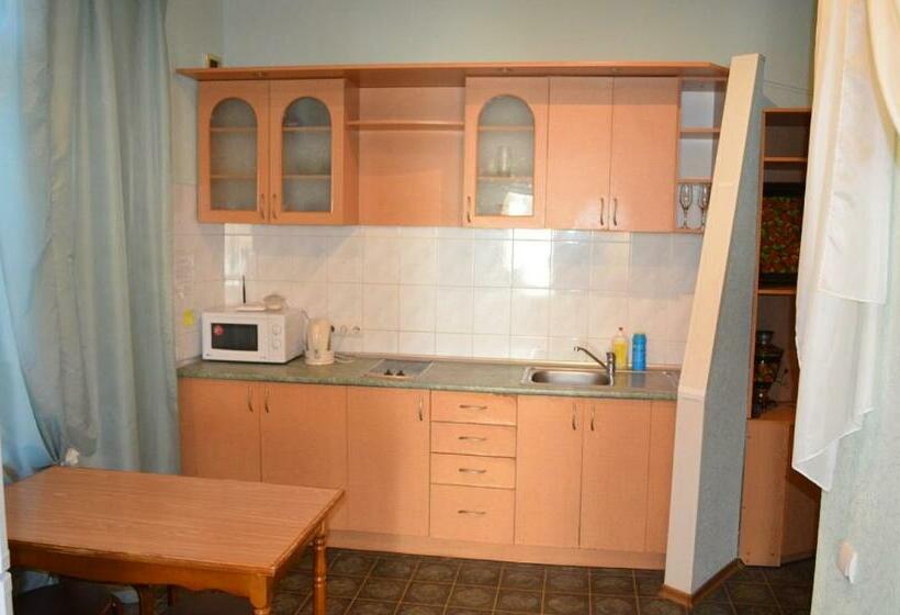 1 комн в центре днепра на грушевского