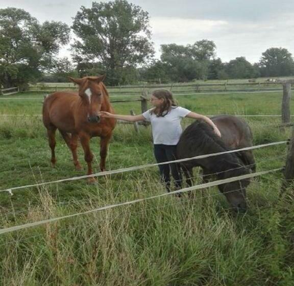 Reit Und Ferienhof Emstal