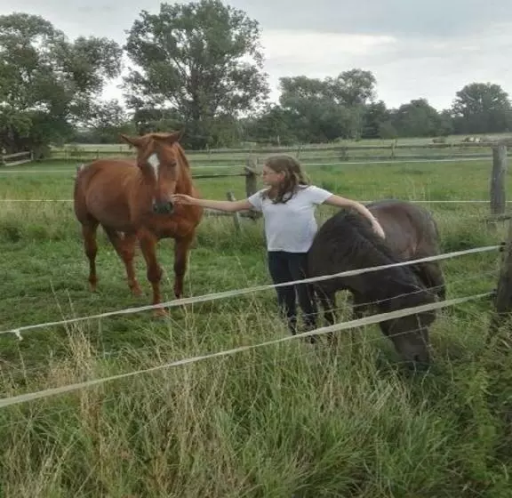 Reit  Und Ferienhof Emstal