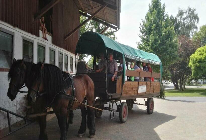 Reit Und Ferienhof Emstal