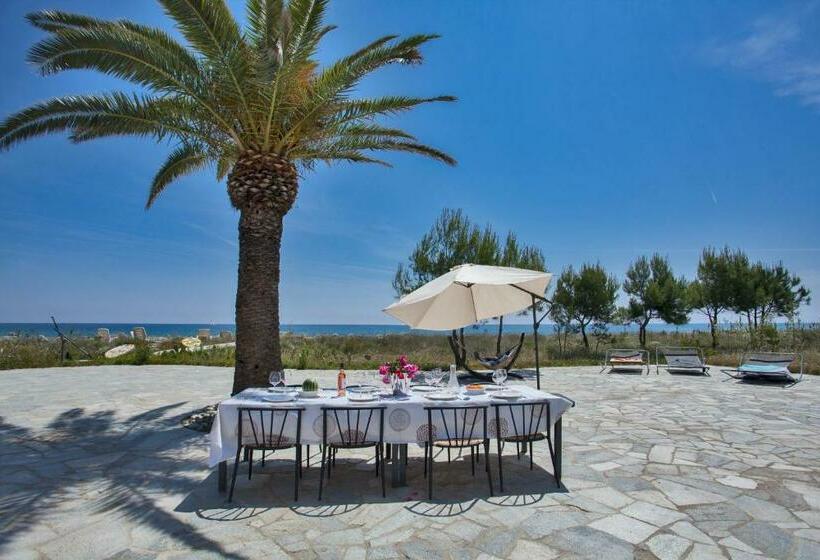 Villa D Architecte Pieds Dans L Eau 800m Parc Galea