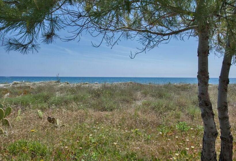 Villa D Architecte Pieds Dans L Eau 800m Parc Galea