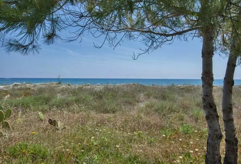 Villa D Architecte Pieds Dans L Eau 800m Parc Galea