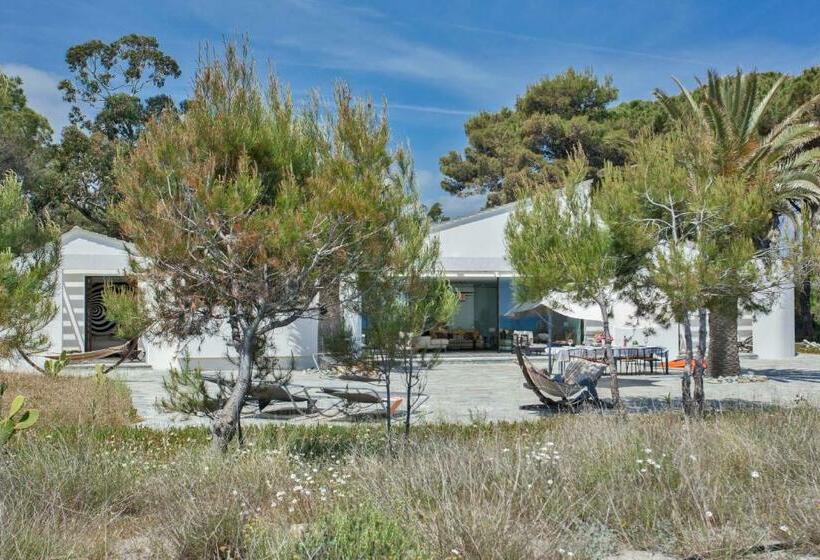 Villa D Architecte Pieds Dans L Eau 800m Parc Galea