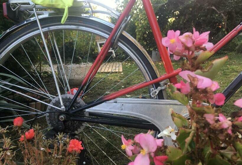 Apartment For Cyclists Ride In Balatonalmádi