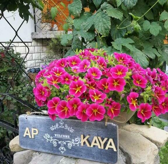 Apartment Kaya
