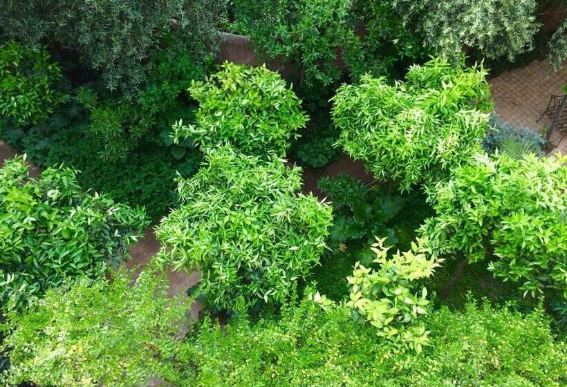 Atlas Mountains Bohemian Retreat