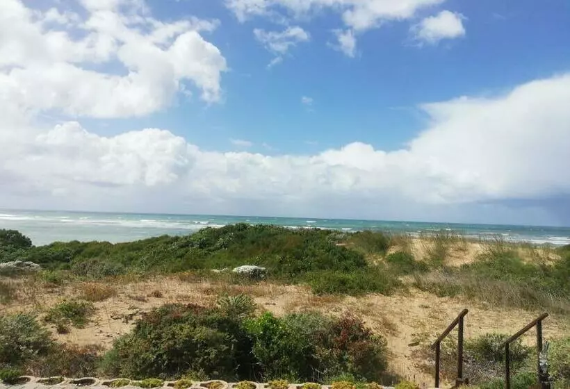 Dolphin Retreat