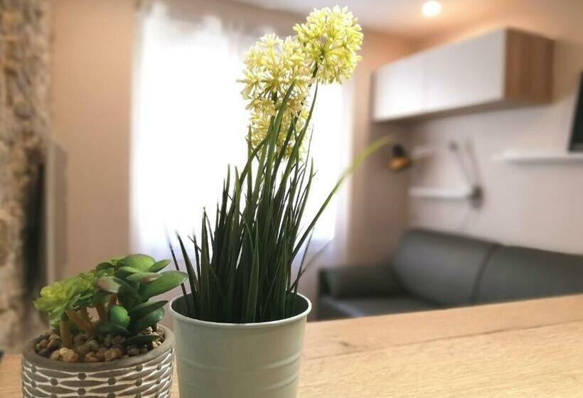 Le Petit Studio   15 M2   Centre Ville   Sorgue à 50 M