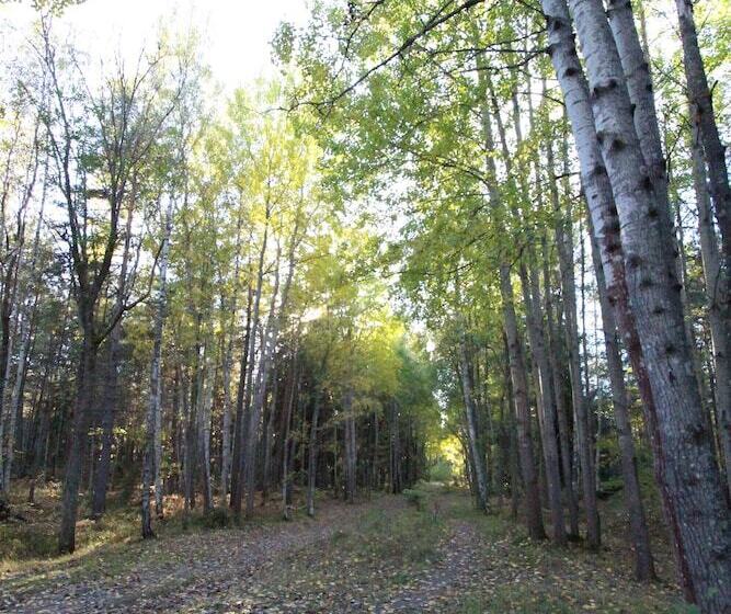 The Sundeck A Romantic Apt In Tallkrogen