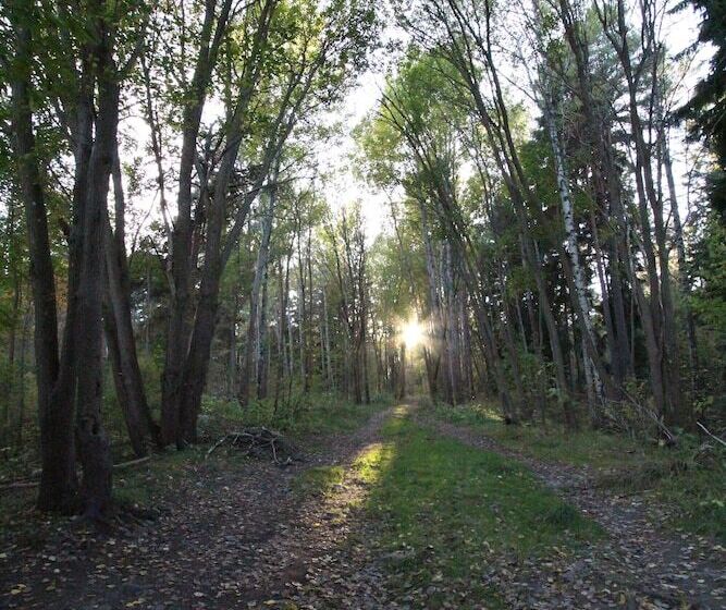 The Sundeck A Romantic Apt In Tallkrogen