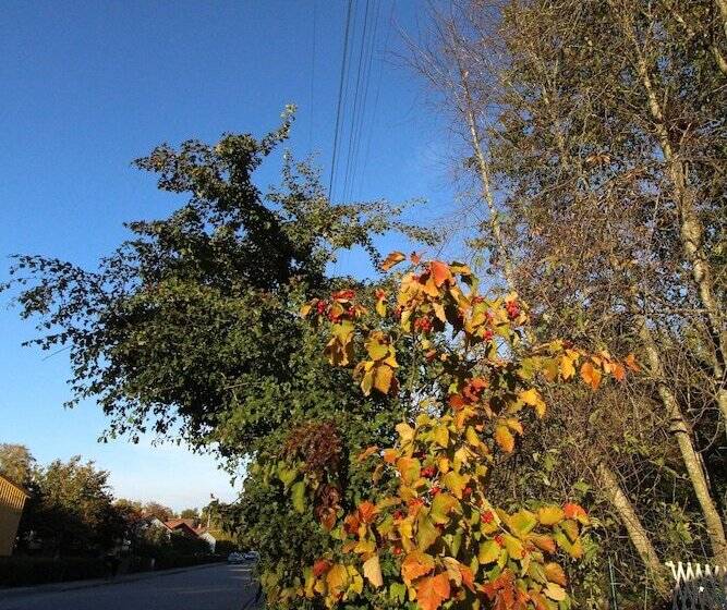 The Sundeck A Romantic Apt In Tallkrogen