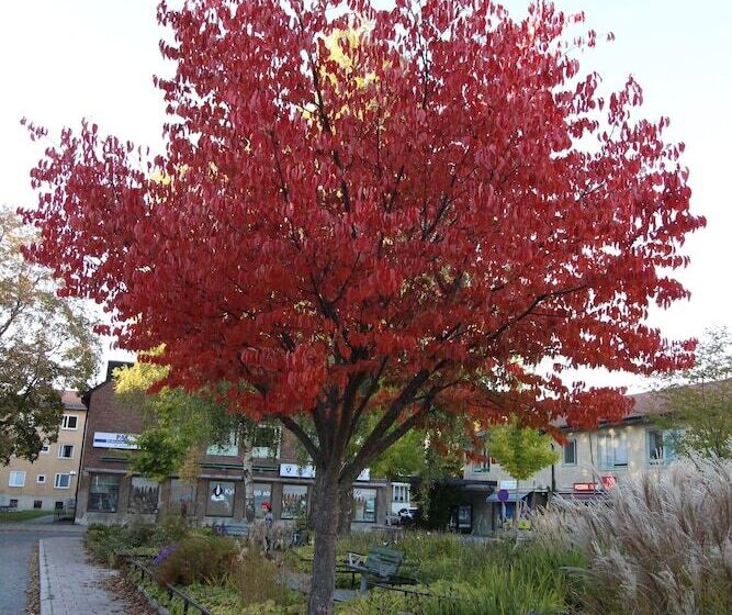 The Sundeck A Romantic Apt In Tallkrogen
