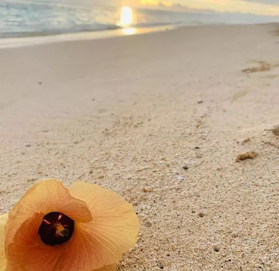 Vaima Beachfront Apartments