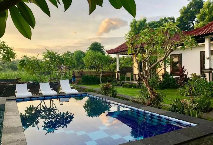 Wonder Dive Bali Tulamben Villa S