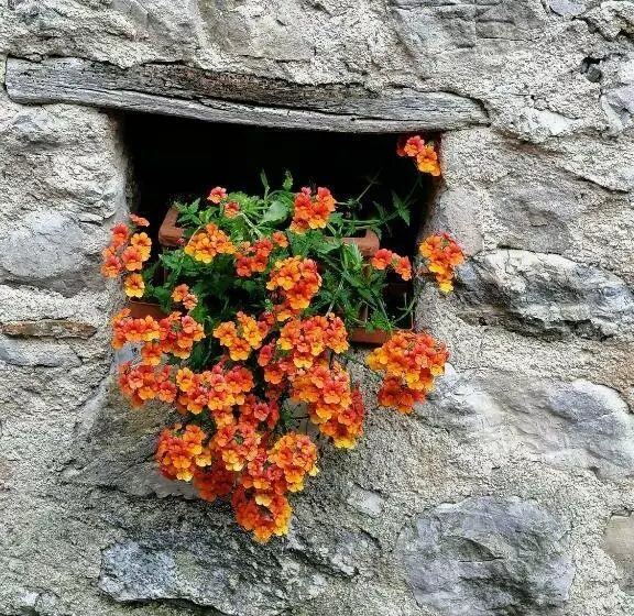 Casa Il Fienile By Garda Domus Mea