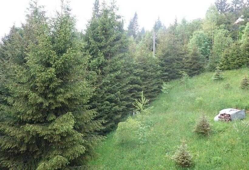 Belis Best View Of The Lake