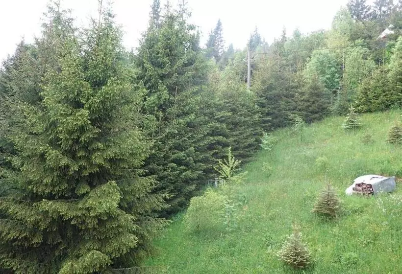 Belis  Best View Of The Lake