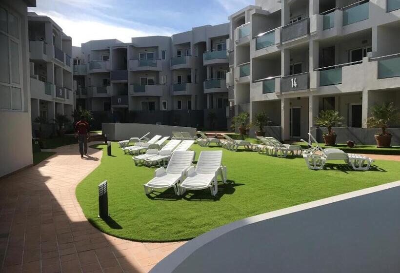 Modern Luxury Apartment