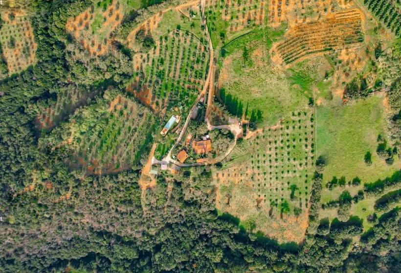 Podere Torricelle 69b Pancole Gr, Seaview Infinity Pool, Jacuzzi And Sauna, Exclusive Villa For 4 An