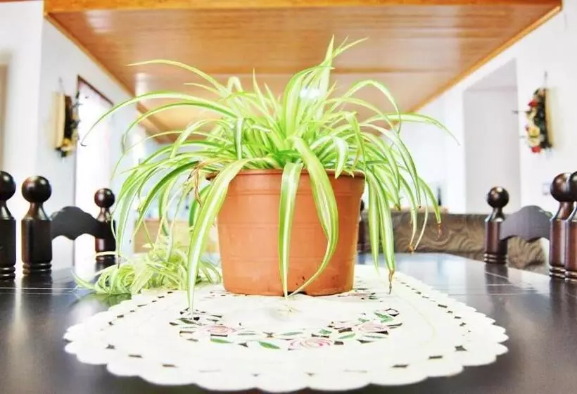 Casas Rurales Los Teatinos