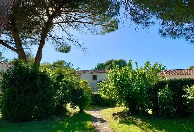 Maison Océan Et Forêt   400m Océan Piscine