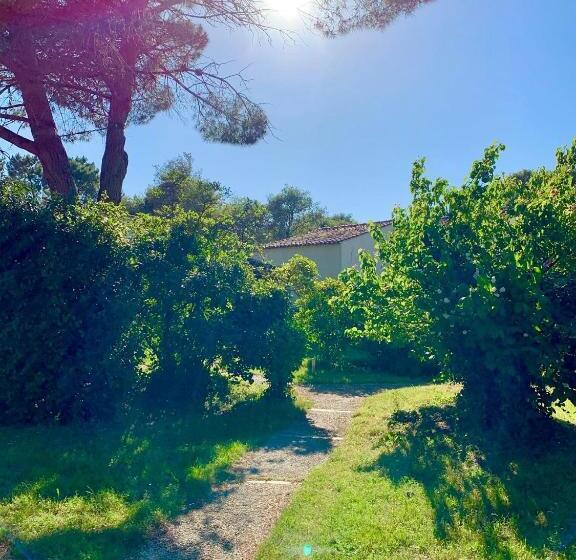 Maison Océan Et Forêt 400m Océan Piscine