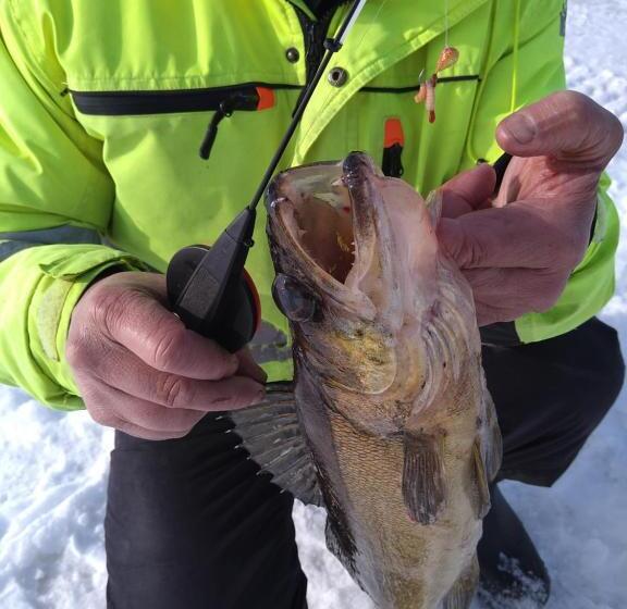 Vacation Home Tulikallio