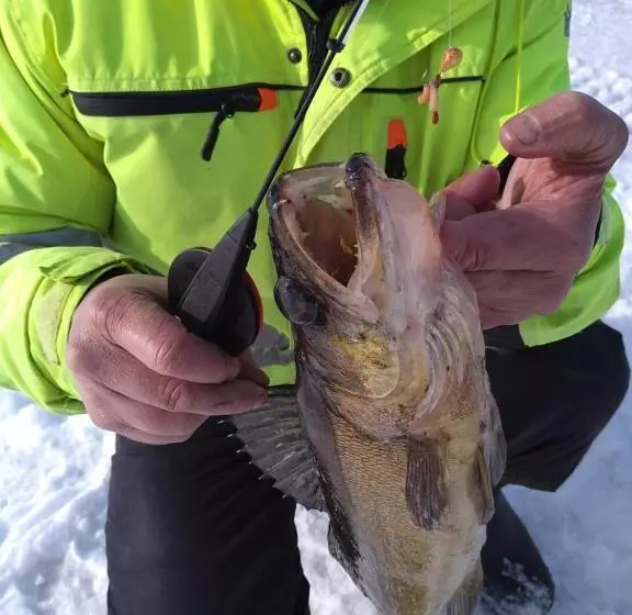 Vacation Home Tulikallio