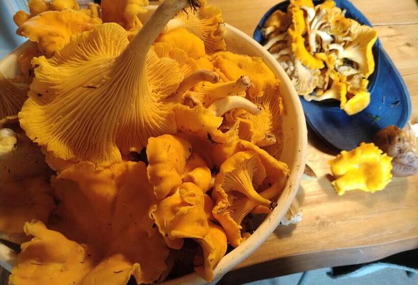 Vacation Home Tulikallio