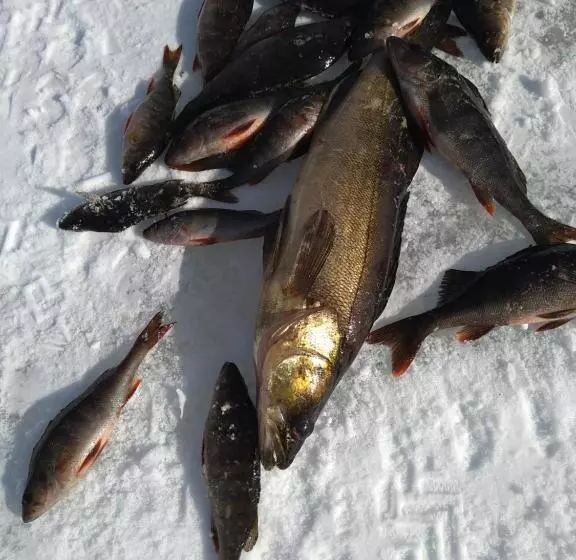 Vacation Home Tulikallio