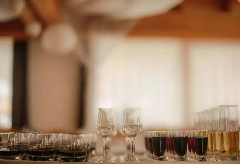 هتل Domačija Vodnik & Apartments