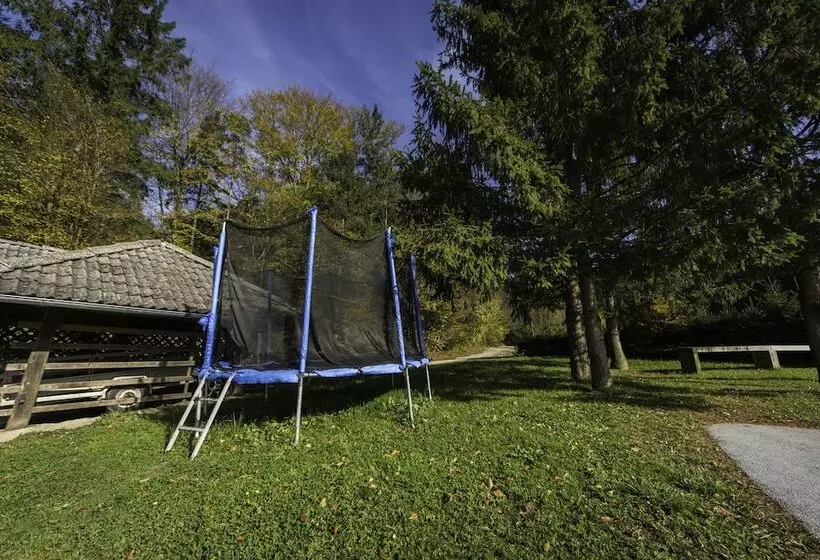 هتل Domačija Vodnik & Apartments