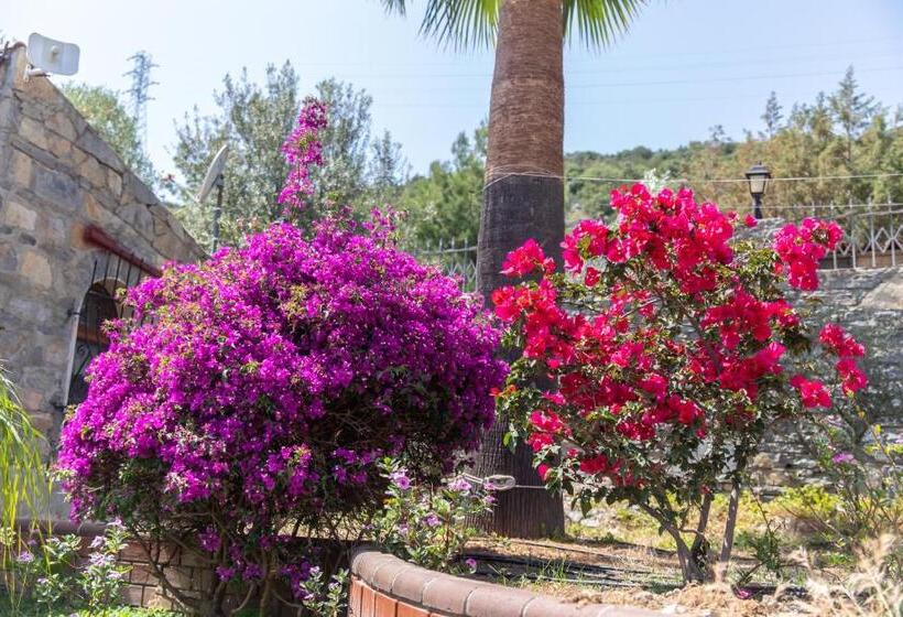 בית מלון כפרי Ipek Garden Palace Residence   Boutique Class