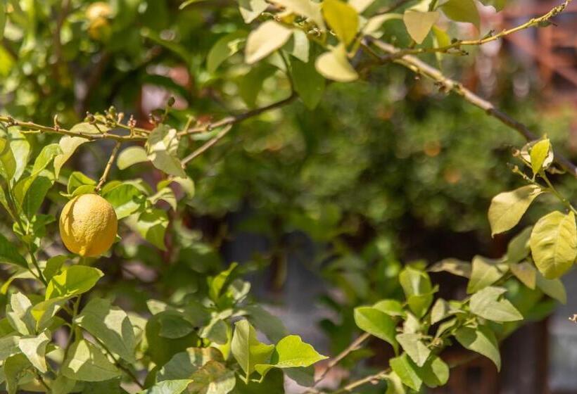 בית מלון כפרי Ipek Garden Palace Residence   Boutique Class