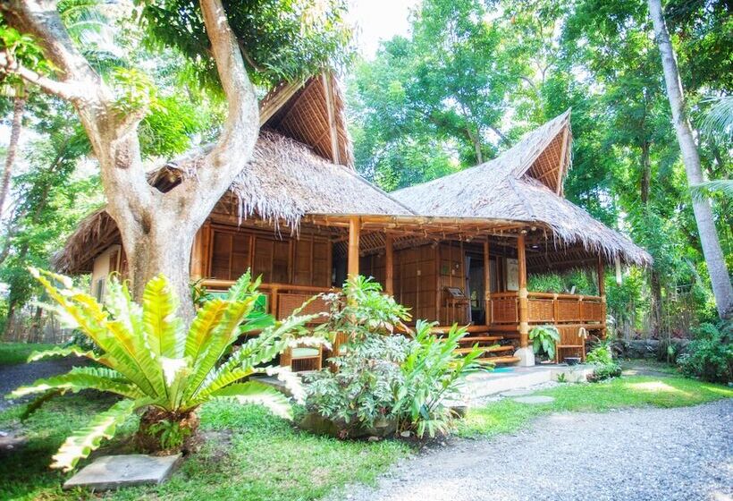 酒店 Pura Vida Beach & Dive Resort