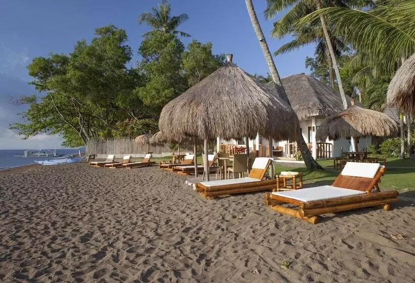 Hotel Pura Vida Beach & Dive Resort