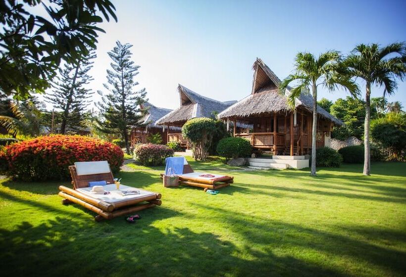 酒店 Pura Vida Beach & Dive Resort