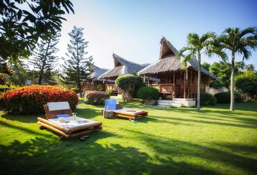 Hotel Pura Vida Beach & Dive Resort