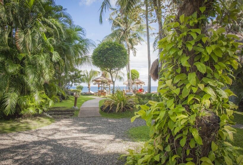 酒店 Pura Vida Beach & Dive Resort